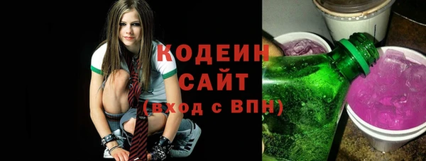 индика Тутаев