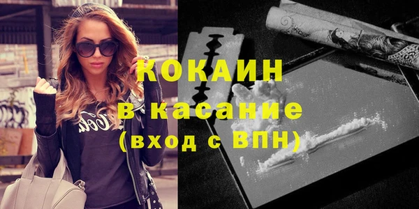 индика Тутаев