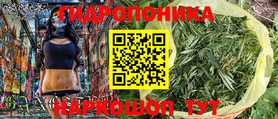 тгк Пугачёв